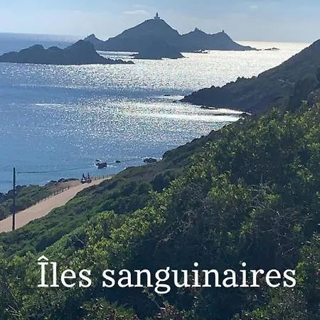 Magnifique Appartement Vue Mer, Spacieux Et Traversant Ajaccio  Buitenkant foto