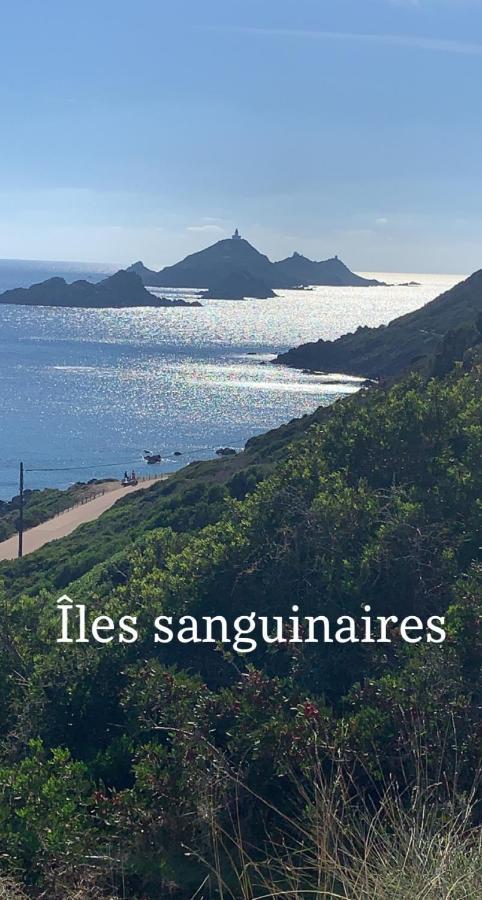 Refait à Neuf Ajaccio Vue Appartement *